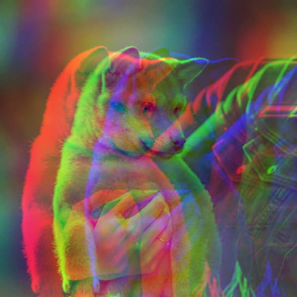 Uplifting Background for Night Walks - Calma Música para Perros