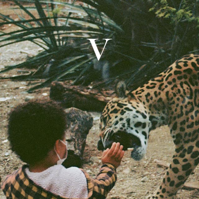 V - Unknown Mortal Orchestra
