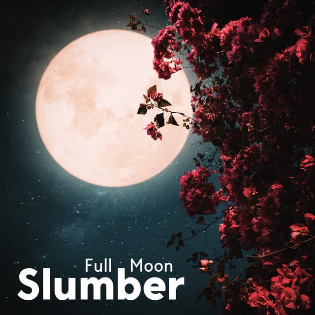 Full Moon Slumber: Relieve Insomnia - Yoga Tribe