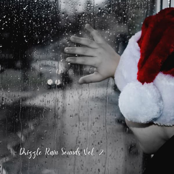 Drizzle Rain Sounds Vol. 2 - Rain Sounds Nature Collection
