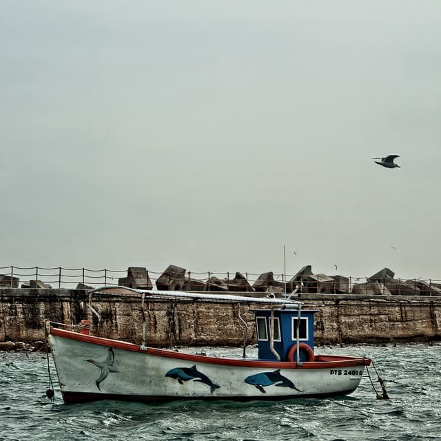 Jazz auf gleich - elo