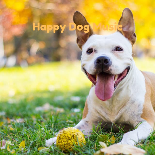 Happy Dog Music - Pet Music Therapy