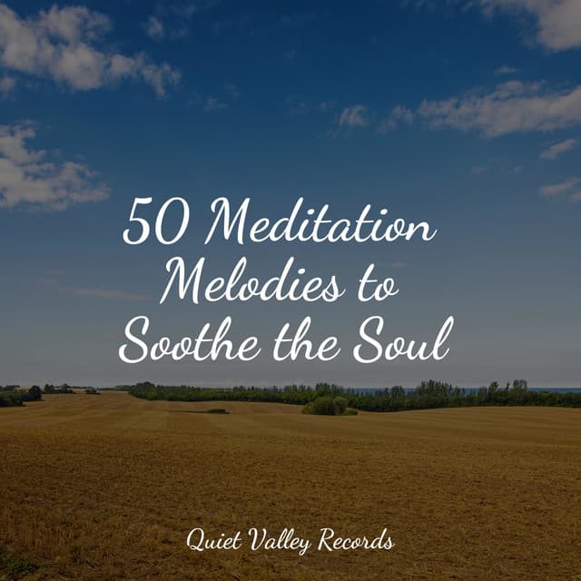50 Meditation Melodies to Soothe the Soul - Regengeräusche