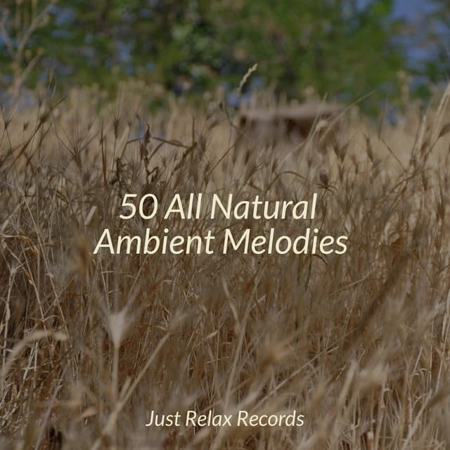 50 All Natural Ambient Melodies - Nature Sound Collection