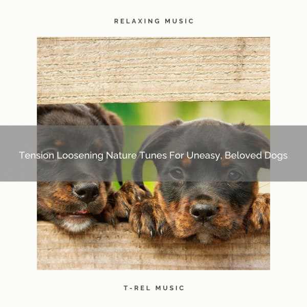Tension Loosening Nature Tunes For Uneasy, Beloved Dogs - Dog Relax