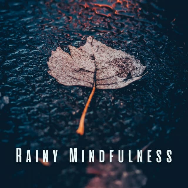 Rainy Mindfulness: Chill Sounds for Meditative Bliss - Cloud Cover
