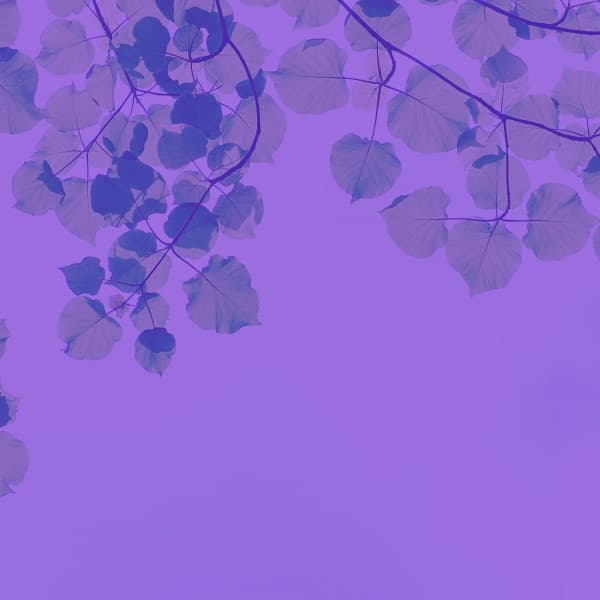 Sublime Background Music for After Hours Work - Música para Oficinas Musica De Fondo