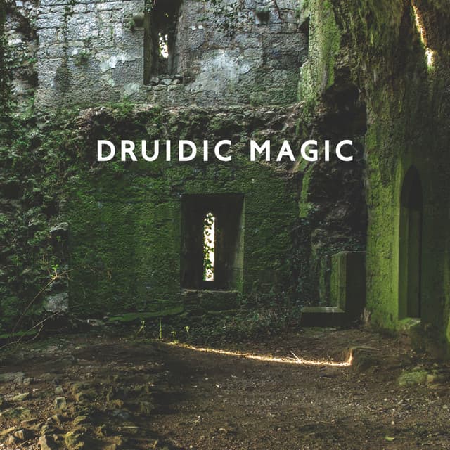Druidic Magic - Reiki Raj