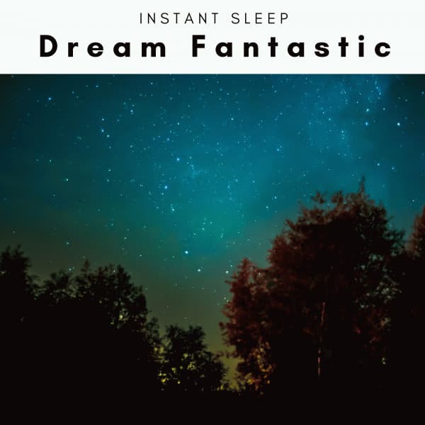 2022 Dream Fantastic - Natural Symphony