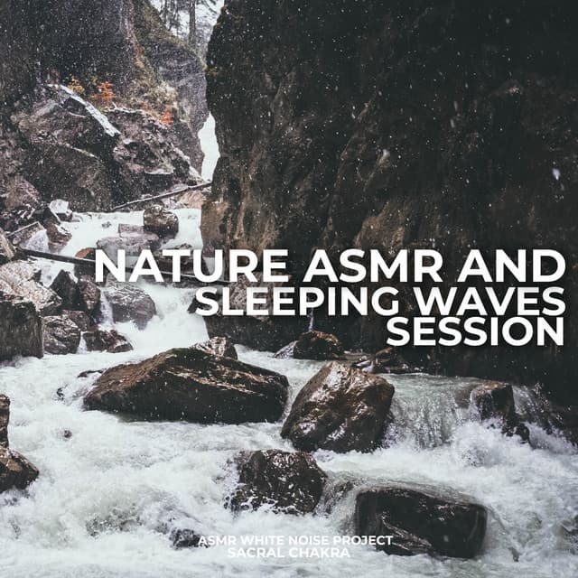 Nature ASMR And Sleeping Waves Session - ASMR White Noise Project