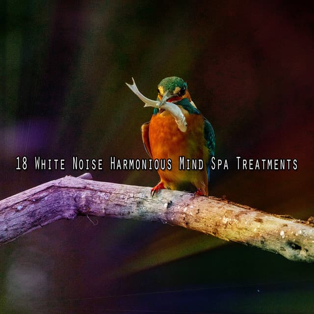 18 White Noise Harmonious Mind Spa Treatments - Sounds of Nature White Noise for Mindfulness Meditation and Relaxation