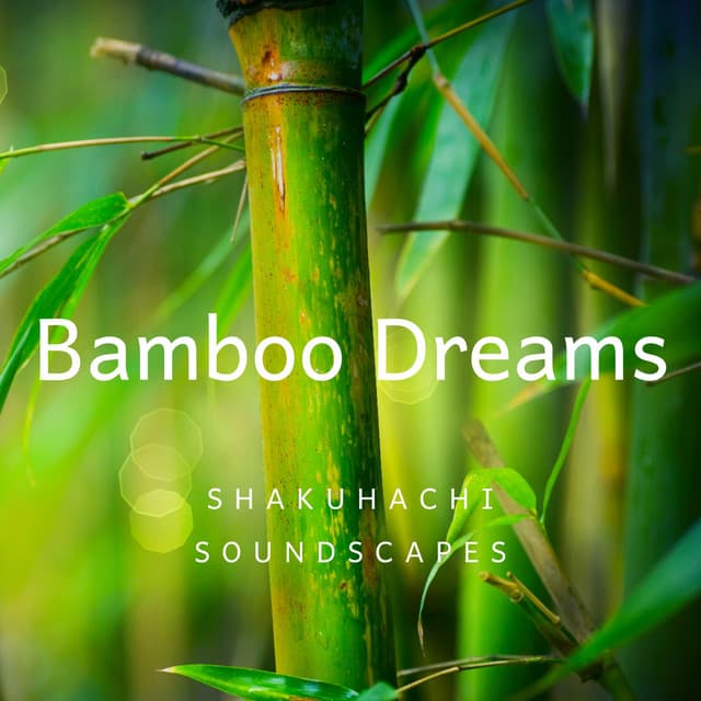 Bamboo Dreams: Shakuhachi Soundscapes - Shakuhachi Sakano