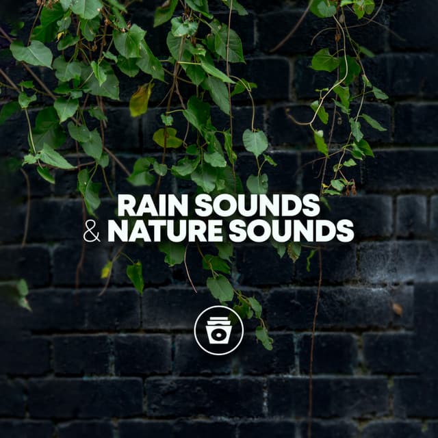 Rain Sounds & Nature Sounds - Heavy Rain Sounds