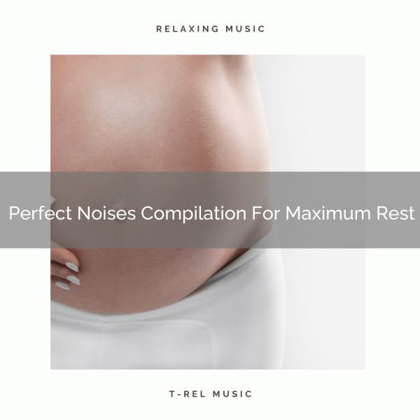Perfect Noises Compilation For Maximum Rest - Ocean Waves For Sleep