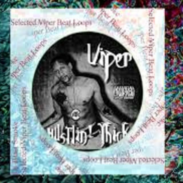 ViperMADEthisBEAt Instrumentals - Viper