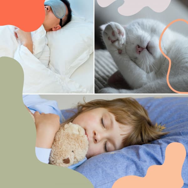 Echoes of Sleeping In - Massage Tribe