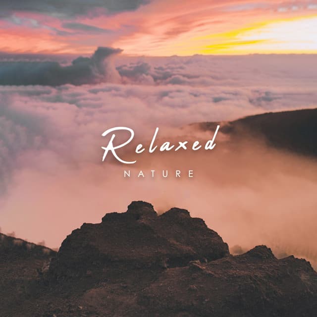 Relaxed Nature - Sleep Sounds of Nature
