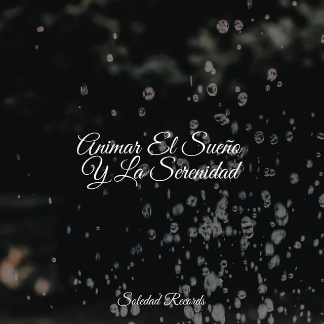 Animar El Sueño Y La Serenidad - Relajación Meditar Academie