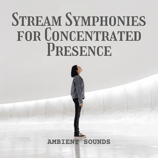 Ambient Sounds: Stream Symphonies for Concentrated Presence - The One-Lane Bridge