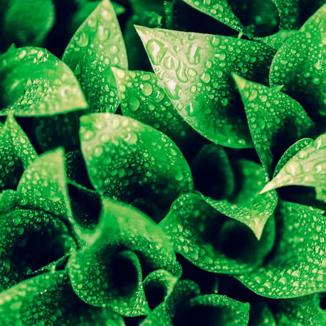 50 Rhythmic Storms: Patterns - Meditation Rain Sounds