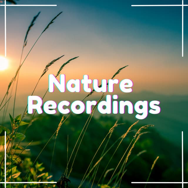 Shades of Green - Natural Sample Makers