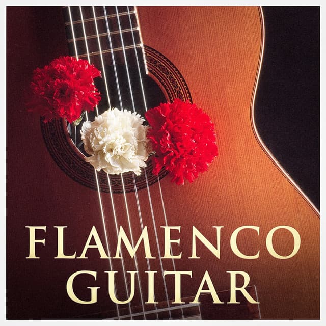Guitarra Clásica Española
