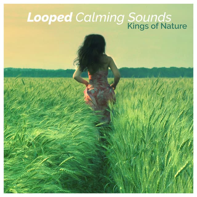 Looped Calming Sounds - Kings of Nature