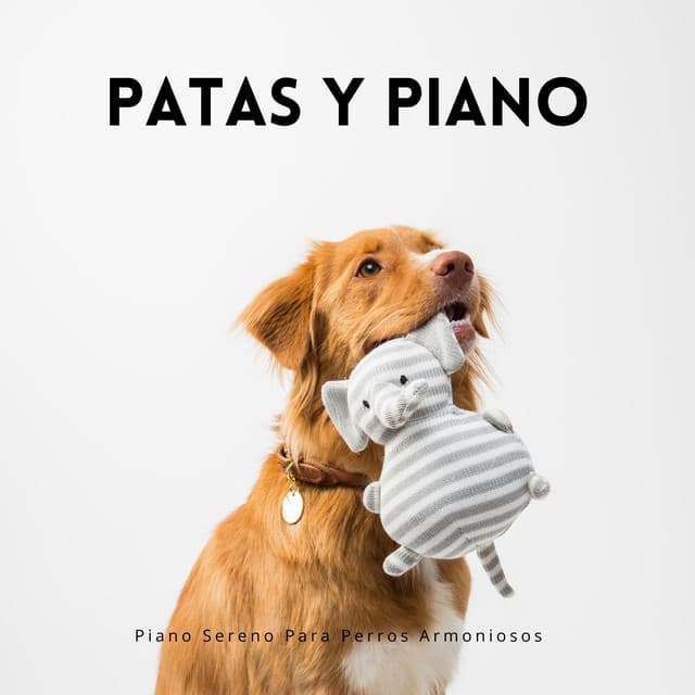 Patas Y Piano: Piano Sereno Para Perros Armoniosos - Colección definitiva de pianos de jazz