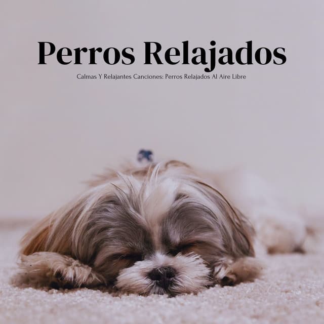 Calmas Y Relajantes Canciones: Perros Relajados Al Aire Libre - MusicoterapiaTeam