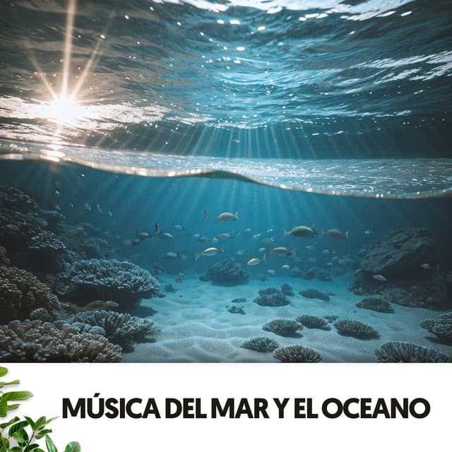 Música del Mar y el Oceano: Canciones de las profundidades - Relajacion