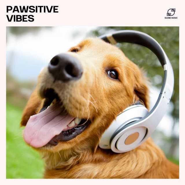Pawsitive Vibes - Pet Music
