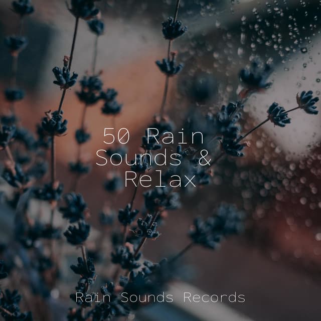 50 Rain Sounds & Relax - Yoga Sounds