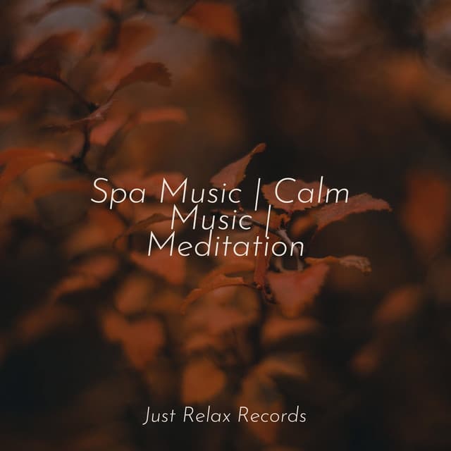 Spa Music | Calm Music | Meditation - Lullabyes