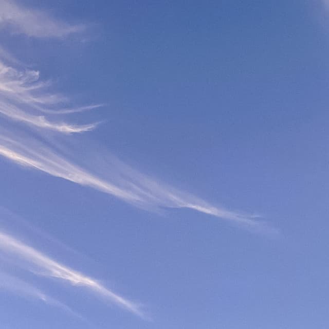 50 White Noise Sounds: Serene Tranquility - Focus Noise