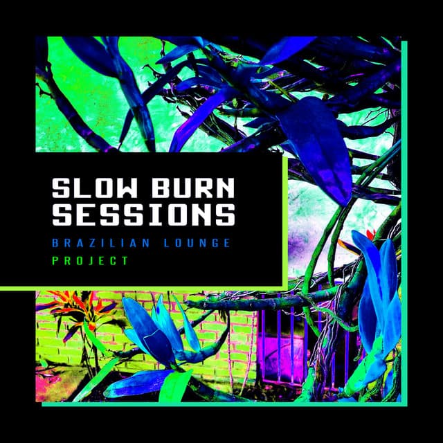 Slow Burn Sessions - Brazilian Lounge Project