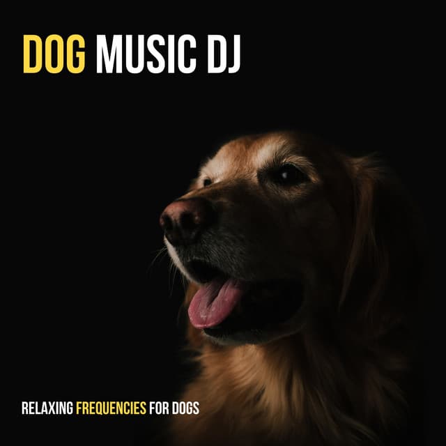 Relaxing Frequencies For Dogs - Meditation Healing Therapy