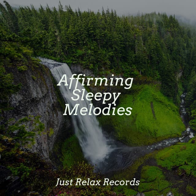 Affirming Sleepy Melodies - Exam Study Classical Music