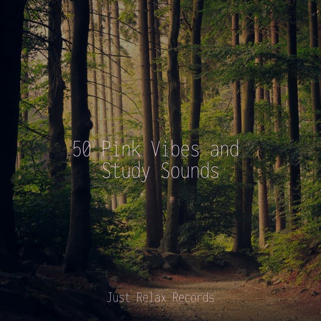 50 Pink Vibes and Study Sounds - Baby Songs & Lullabies For Sleep