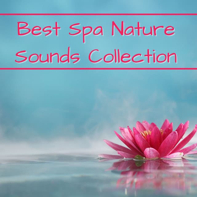 Best Spa Nature Sounds Collection: Waterfalls, Butterfly, Frogs and Zen Music - Scents of Spa