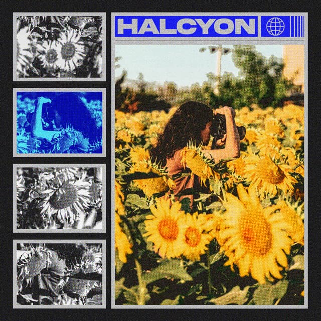 Halcyon - Granular Soundscape
