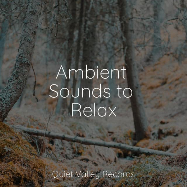 Ambient Sounds to Relax - Smart Baby Lullaby
