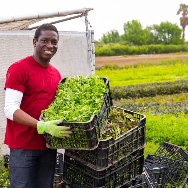Productive Window Rain Harmonies: Empowering Work with Thunder Sounds - Thunderstorms