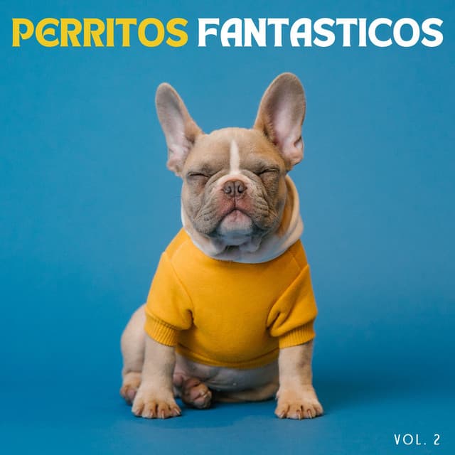 Zona de música para perros