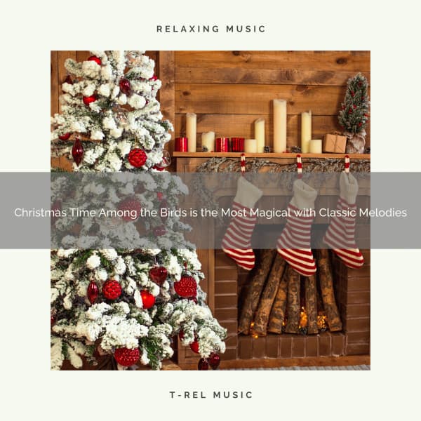 Christmas Time Among the Birds is the Most Magical with Classic Melodies - Relaxing Music Therapy