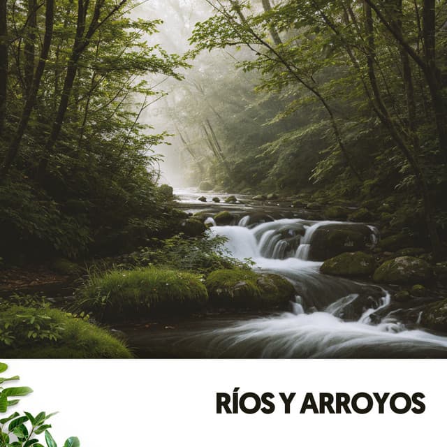 Sonidos del río y música: El susurro de la naturaleza - Dog Relaxation
