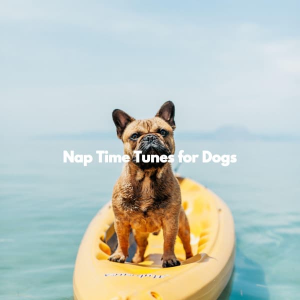 Nap Time Tunes for Dogs - Fun Jazz