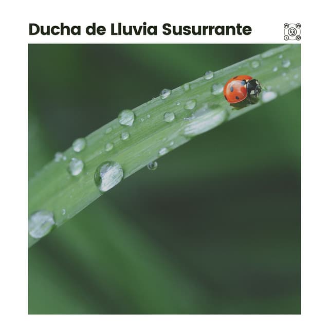 Ducha de Lluvia Susurrante - Sonidos De Lluvia