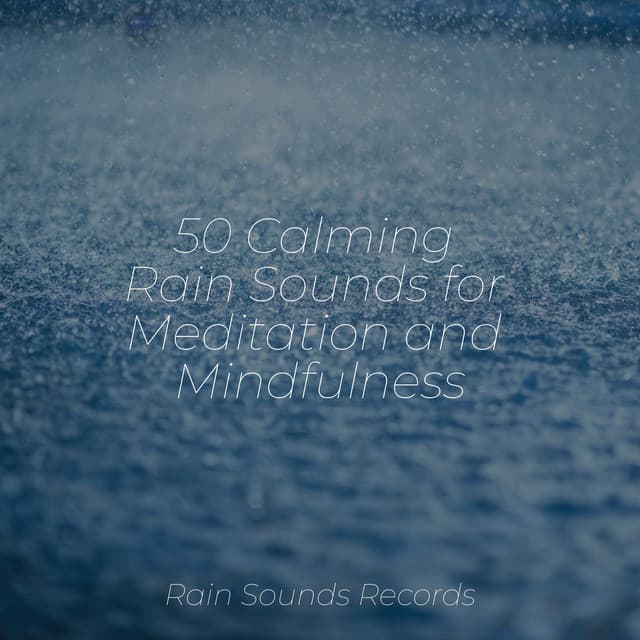 50 Calming Rain Sounds for Meditation and Mindfulness - Forest Sounds