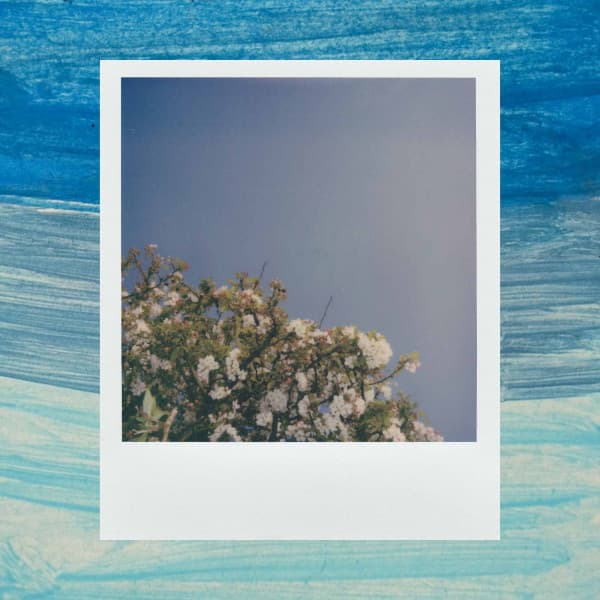 Spacious Jazz Violin - Ambiance for Smooth Chilled Days - Coffee Shop Music