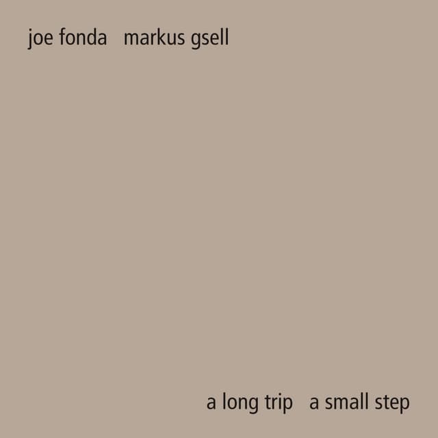 A Long Trip a Small Step - Markus Gsell